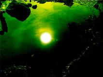 sun under vatten royaltyfria bilder