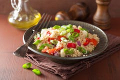 Sund couscoussallad med gräslökar för tomatgurkalök arkivbild Sund couscoussallad med gräslökar för tomatgurkalök arkivbild