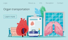 Sund givare för mänskligt organ vektor illustrationer Sund givare för mänskligt organ vektor illustrationer