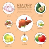 Sunda foods för lever Medicinsk hälsa vektor illustrationer Sunda foods för lever Medicinsk hälsa vektor illustrationer