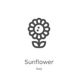 Download Sunflower Isolated On White Background Stock Illustration ...