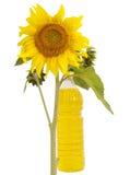 Sunflower Oil And Sunflower Royalty Free Stock Photos