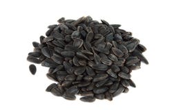 Sunflower Seeds Isolated Royalty Free Stock Image