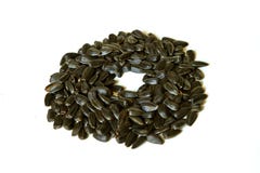 Sunflower seeds isolated stock photography Sunflower seeds isolated stock photography