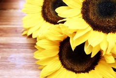 Sunflowers On A Wooden Table Stock Photography