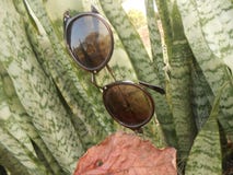Sunglasses with natural background royalty free stock images Sunglasses with natural background royalty free stock images
