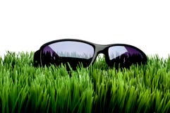 Sunglasses On Grass Against White Royalty Free Stock Images Sunglasses On Grass Against White Royalty Free Stock Images