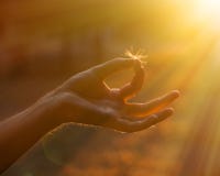 sunlight стоковое изображение sunlight стоковое изображение