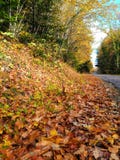 Sunny Autumn Day stupéfiant photos libres de droits Sunny Autumn Day stupéfiant photos libres de droits
