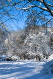 Sunny, snow-covered glade in the winter park. royalty free stock photography Sunny, snow-covered glade in the winter park. royalty free stock photography