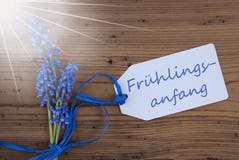 Sunny Srping Grape Hyacinth, label, Fruehlingsanfang veut dire le début du ressort photos stock Sunny Srping Grape Hyacinth, label, Fruehlingsanfang veut dire le début du ressort photos stock
