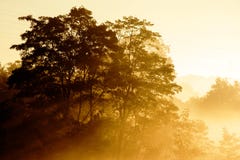 Sunrise on a background of a misty landscape with tree stock photography Sunrise on a background of a misty landscape with tree stock photography