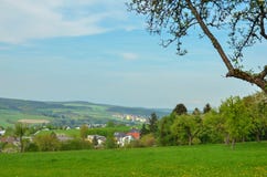 Farm field with young crop from Germany royalty free stock photos Farm field with young crop from Germany royalty free stock photos