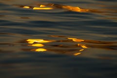 Calm Sea wave sunset view blue water ocean royalty free stock photo Calm Sea wave sunset view blue water ocean royalty free stock photo