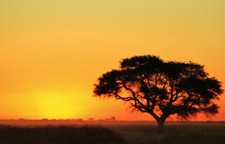 Sunset - African Last Light And Wonder Stock Photo