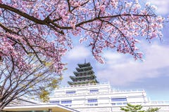 Sunset At Namsan Tower In Seoul,South Korea Stock Photo Sunset At Namsan Tower In Seoul,South Korea Stock Photo