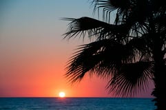 Sunset Beach, Evening Sea, Palm Trees Royalty Free Stock Image