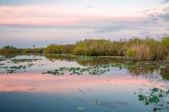 Sunset at the Everglades National Park