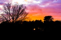 Sunset in a forest landscape creating dark silhouette of the scenery, sundown painting the sky and clouds in beautiful colors royalty free stock image Sunset in a forest landscape creating dark silhouette of the scenery, sundown painting the sky and clouds in beautiful colors royalty free stock image