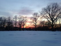 Sunset In A Park In Snow In Winter. Royalty Free Stock Images