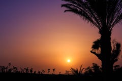 Sunset In Agadir, Morocco Royalty Free Stock Photo