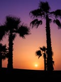 Sunset In Agadir, Morocco Royalty Free Stock Image