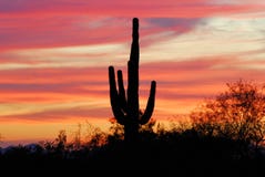 Sunset In Arizona Royalty Free Stock Photo