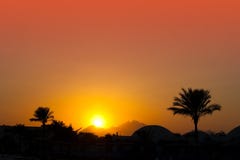 Sunset In Desert Royalty Free Stock Image