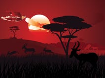 Sunset Landscape With Antelopes Stock Photo Sunset Landscape With Antelopes Stock Photo