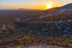 Winery Fields in Ica at Sunset, Peru royalty free stock photos Winery Fields in Ica at Sunset, Peru royalty free stock photos