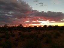 African sunset stock images African sunset stock images