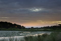 Sunset On African Pond Stock Images