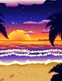 Sunset On Beach With Palms Stock Images