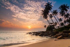 Sunset On The Beach With Coconut Palms. Sri Lanka Stock Photos