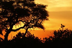 Sunset Over The Okovango Delta Stock Image