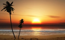 Sunset Palm Trees Royalty Free Stock Image Sunset Palm Trees Royalty Free Stock Image