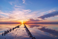 Sunset on a pink salt lake, a former mine for the extraction of pink salt. row of wooden pegs overgrown with salt royalty free stock image Sunset on a pink salt lake, a former mine for the extraction of pink salt. row of wooden pegs overgrown with salt royalty free stock image