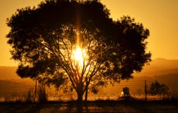 Sunset Sun Setting Behind Mountains And One Tree Countryside Royalty Free Stock Photos Sunset Sun Setting Behind Mountains And One Tree Countryside Royalty Free Stock Photos