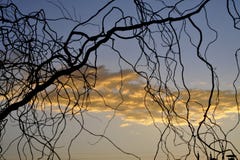 Sunshine, happiness Royalty Free Stock Photography Sunshine, happiness Royalty Free Stock Photography