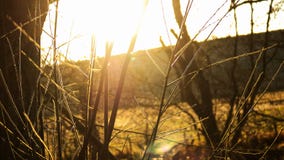 Sunshine through the trees stock photos Sunshine through the trees stock photos
