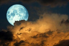 Super Blue Harvest Moon Back On Silhouette Cloud On Sunset Sky Stock Images