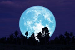 Super Full Harvest Moon On Night Sky Back Trees In The Field Royalty Free Stock Image Super Full Harvest Moon On Night Sky Back Trees In The Field Royalty Free Stock Image