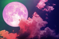 Super Full Pink Moon Back Silhouette Colorful Magenta Sky Royalty Free Stock Photography Super Full Pink Moon Back Silhouette Colorful Magenta Sky Royalty Free Stock Photography
