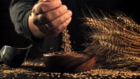 The super slow motion of barley grains from the man's hand falls into the bowl. Filmed on a high-speed camera at 1000