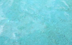 Superfície da água e bater no fundo transparentes, fundo fotografia de stock Superfície da água e bater no fundo transparentes, fundo fotografia de stock