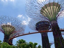 Supertrees και Skyway στους κήπους από τον κόλπο σε Singaopre στοκ φωτογραφίες Supertrees και Skyway στους κήπους από τον κόλπο σε Singaopre στοκ φωτογραφίες