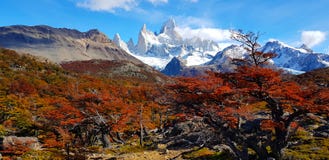 Supporto Fitz Roy con i colori di autunno, Argentina immagine stock Supporto Fitz Roy con i colori di autunno, Argentina immagine stock