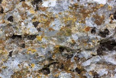 Surface of old stone with yellow green moss Royalty Free Stock Image Surface of old stone with yellow green moss Royalty Free Stock Image