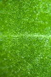 Surface texturisée de lame verte Photographie stock Surface texturisée de lame verte Photographie stock