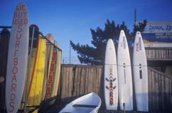 Surfingbrädor uppställda på trästaket royaltyfri fotografi Surfingbrädor uppställda på trästaket royaltyfri fotografi
